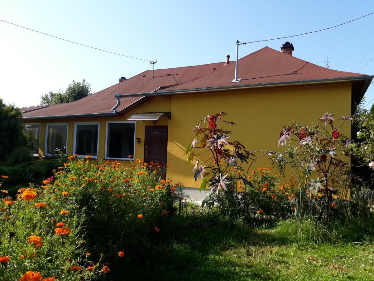 Villa Midiola Vendeghaz Kerkakutas Exterior foto
